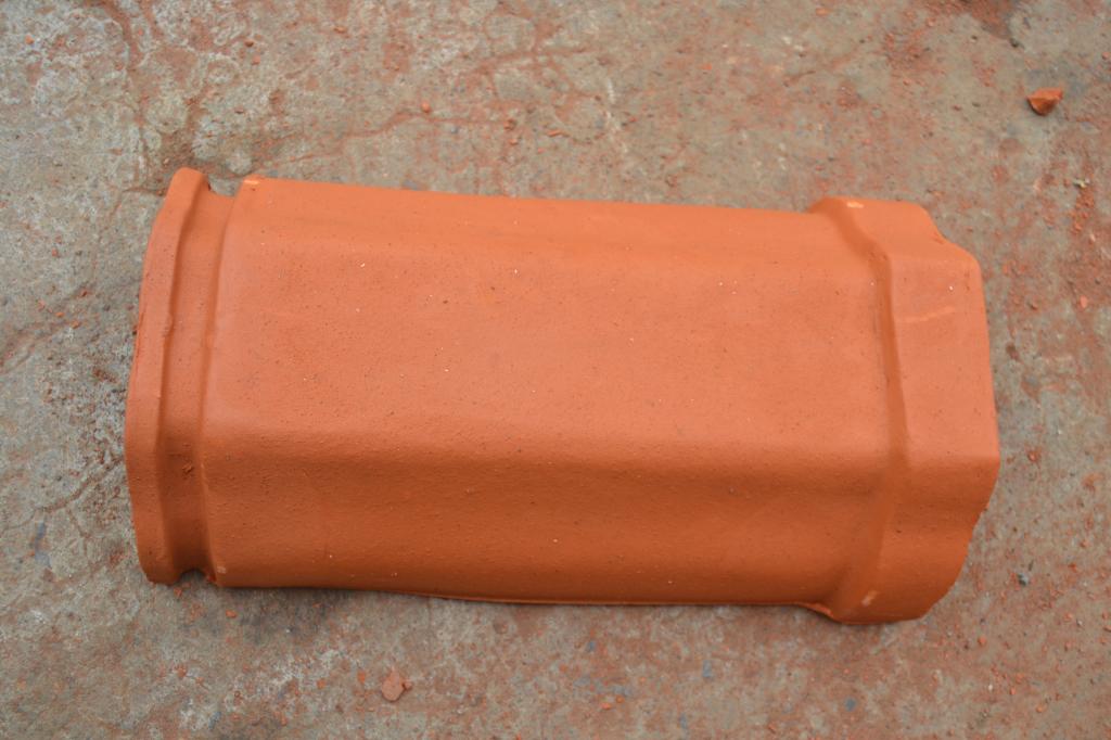 nok bisma SL karang pilang